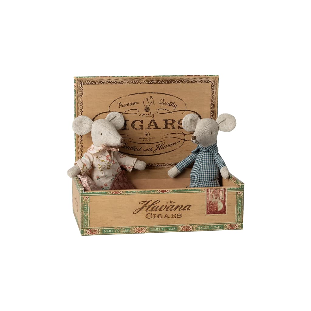 Grandma and Grandpa Mice in Cigarbox