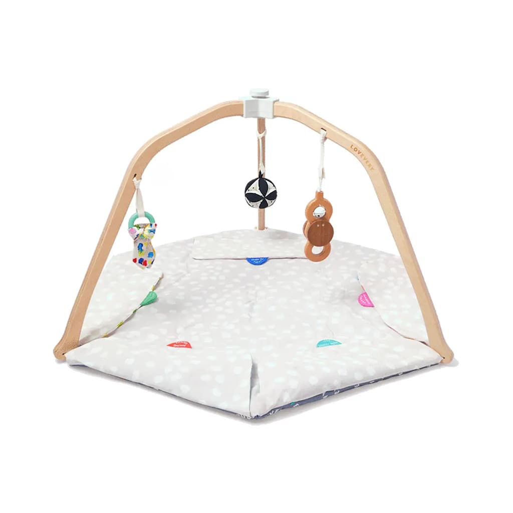 The Play Gym